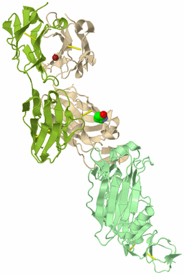 Image Biological Unit 2