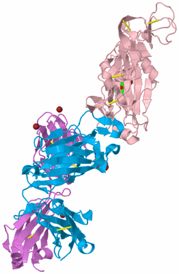 Image Biological Unit 3