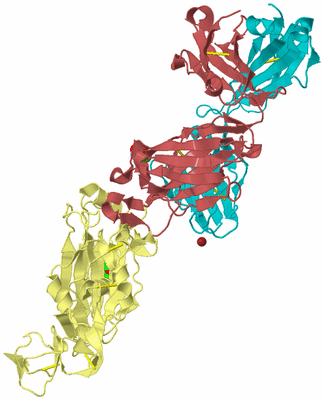 Image Biological Unit 4