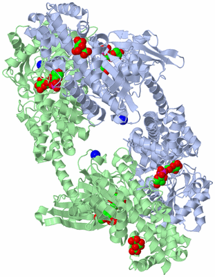 Image Biological Unit 1