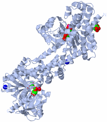 Image Biological Unit 2