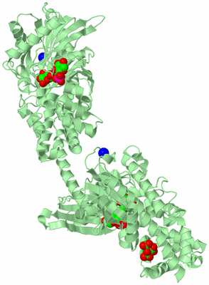 Image Biological Unit 3