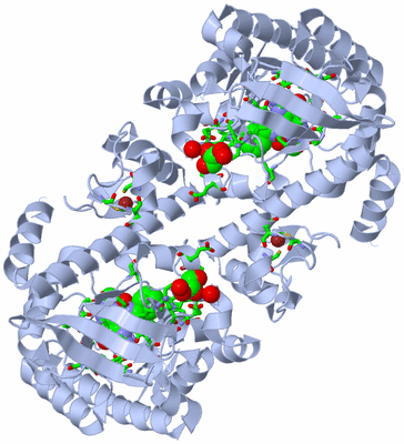 Image Biol. Unit 1 - sites