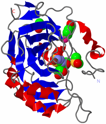 Image Asym./Biol. Unit