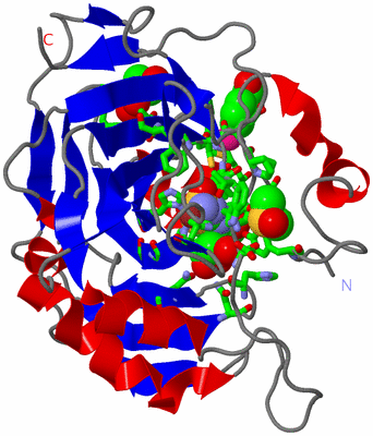 Image Asym./Biol. Unit - sites