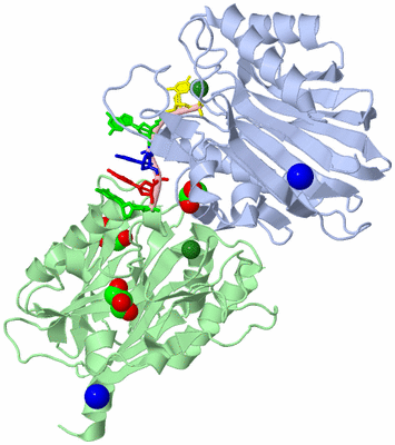 Image Asym./Biol. Unit