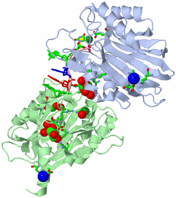 Image Asym./Biol. Unit - sites