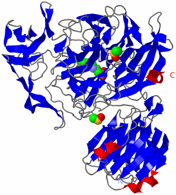 Image Asym./Biol. Unit