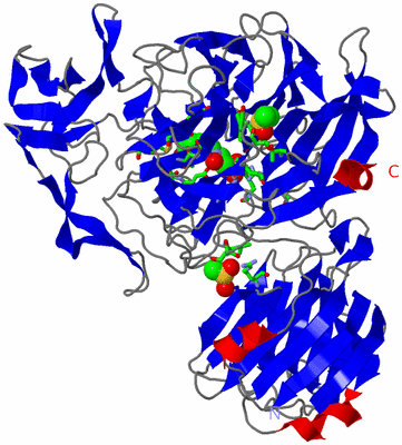 Image Asym./Biol. Unit - sites