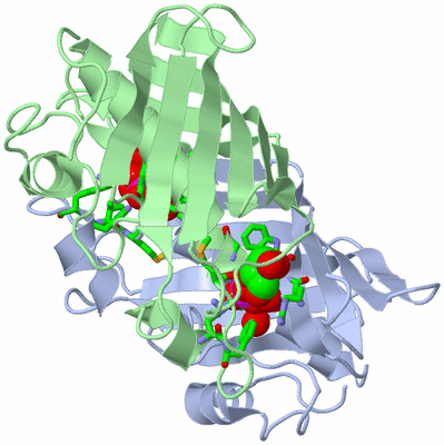 Image Biol. Unit 1 - sites