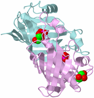 Image Biological Unit 3