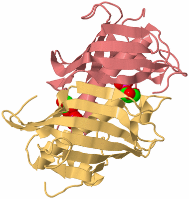 Image Biological Unit 4