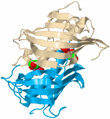 Image Biological Unit 5