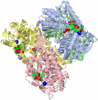 Image Asym./Biol. Unit