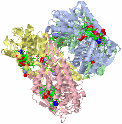 Image Asym./Biol. Unit - sites