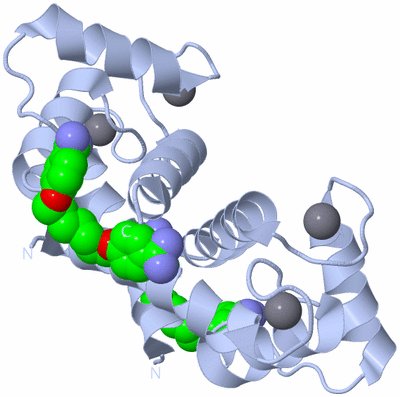 Image Biological Unit 1