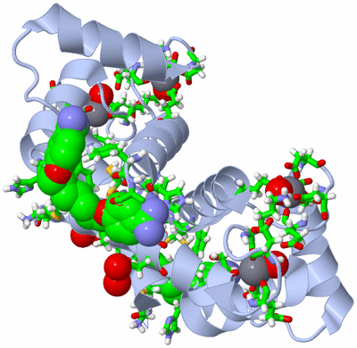 Image Biol. Unit 1 - sites