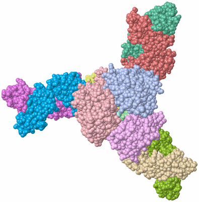 Image Asym./Biol. Unit