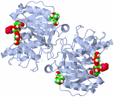 Image Biological Unit 1