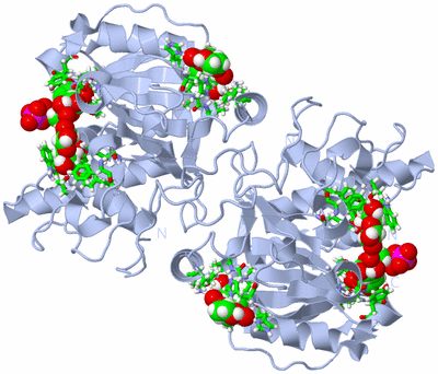 Image Biol. Unit 1 - sites