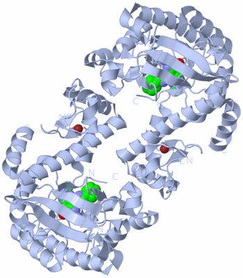 Image Biological Unit 1