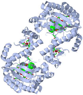 Image Biol. Unit 1 - sites