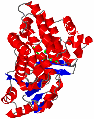 Image Asym. Unit - sites