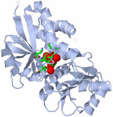 Image Biol. Unit 1 - sites