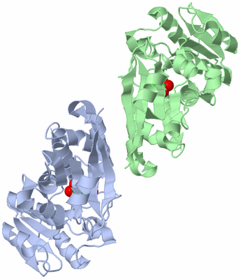 Image Biological Unit 3