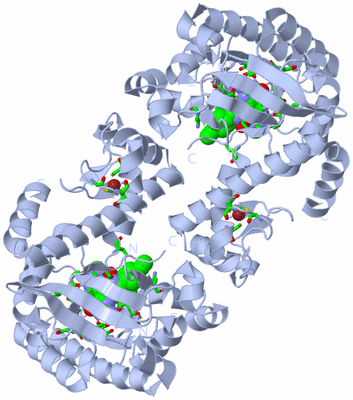 Image Biol. Unit 1 - sites