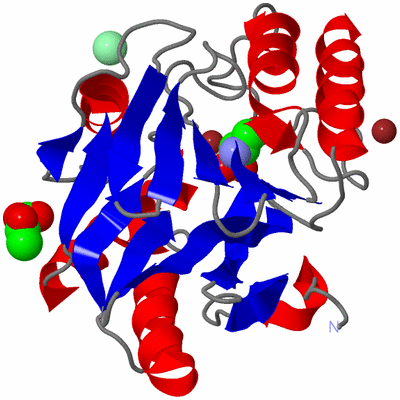 Image Asym./Biol. Unit