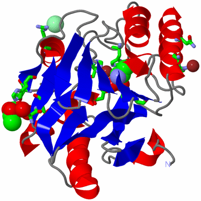 Image Asym./Biol. Unit - sites