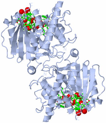 Image Biol. Unit 1 - sites