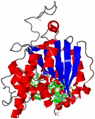 Image Asym. Unit - sites