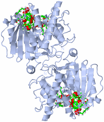 Image Biol. Unit 1 - sites