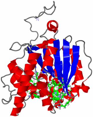 Image Asym. Unit - sites