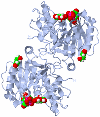 Image Biological Unit 1