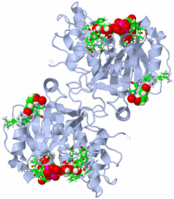 Image Biol. Unit 1 - sites