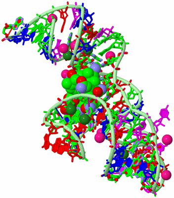 Image Biol. Unit 1 - sites