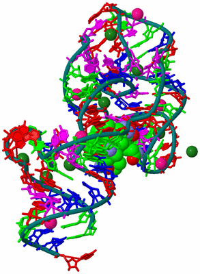 Image Biological Unit 2