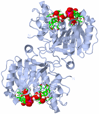 Image Biol. Unit 1 - sites