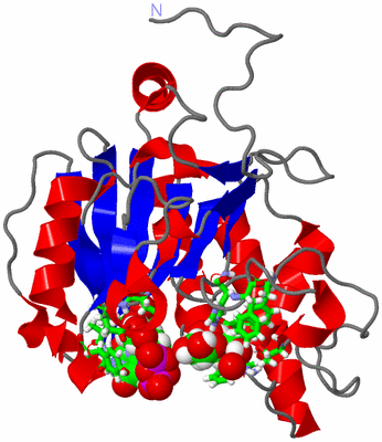 Image Asym. Unit - sites