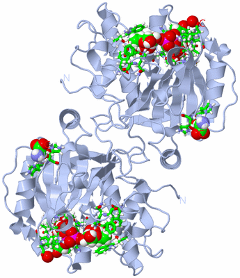 Image Biol. Unit 1 - sites