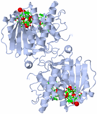 Image Biol. Unit 1 - sites