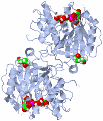 Image Biological Unit 1