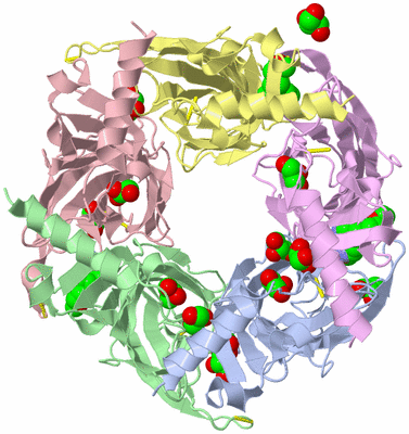 Image Biological Unit 1