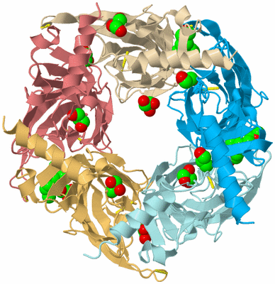 Image Biological Unit 2