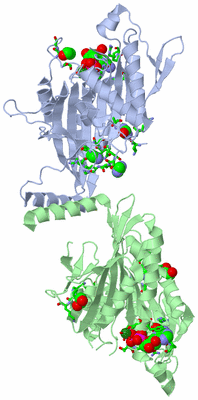 Image Asym./Biol. Unit - sites