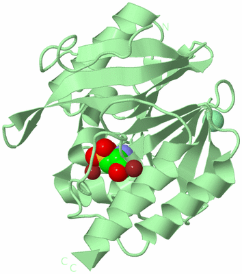 Image Biological Unit 2