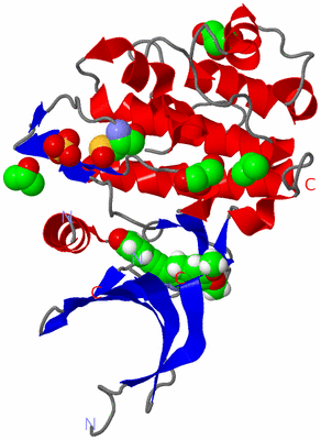 Image Asym./Biol. Unit